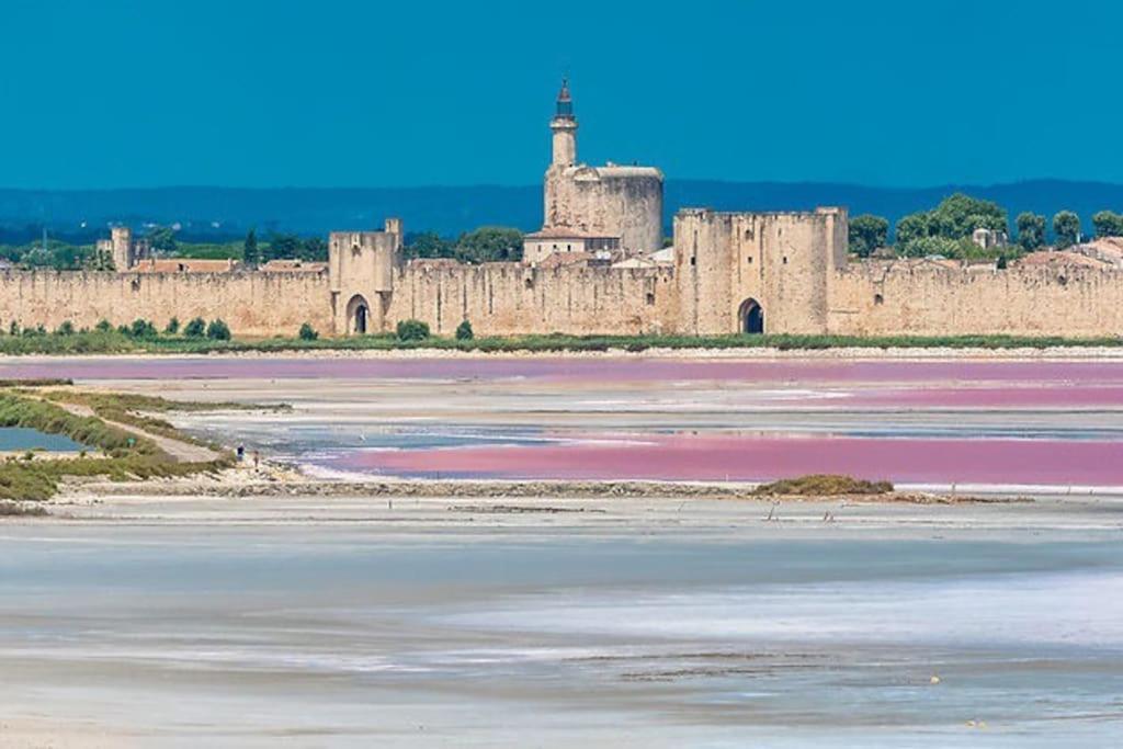 Maison A 800M Des Remparts Aigues-Mortes Exterior photo